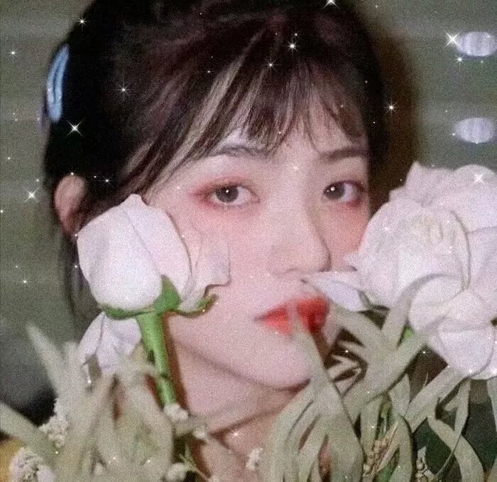 《又会咁嘅粤语》剧照